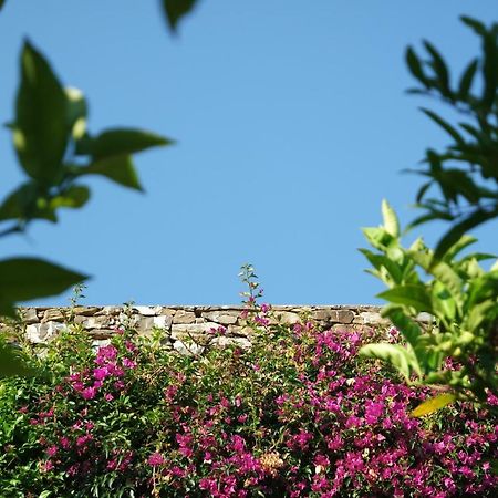 Villa Casolare Sarolli Ascea Exterior foto