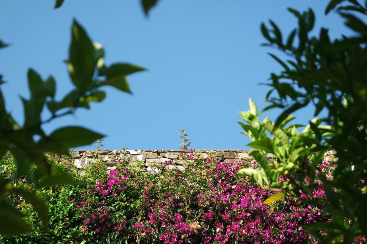 Villa Casolare Sarolli Ascea Exterior foto